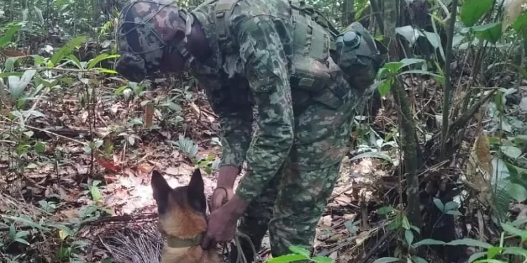 Ejército Nacional neutraliza artefacto explosivo en el departamento del Vaupés
