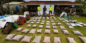 Más de media tonelada de marihuana fue incautada por el Ejército Nacional en San Pedro de los Milagros, Antioquia