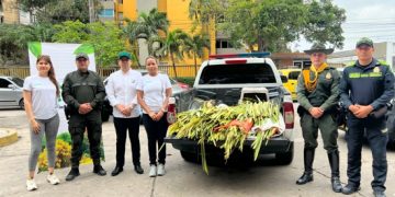 Refuerzan controles contra el tráfico ilegal de fauna y flora durante Semana Santa