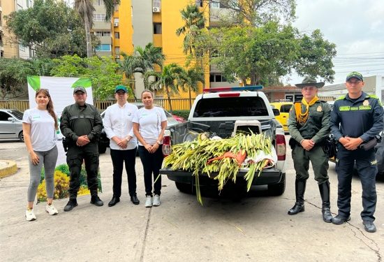 Refuerzan controles contra el tráfico ilegal de fauna y flora durante Semana Santa