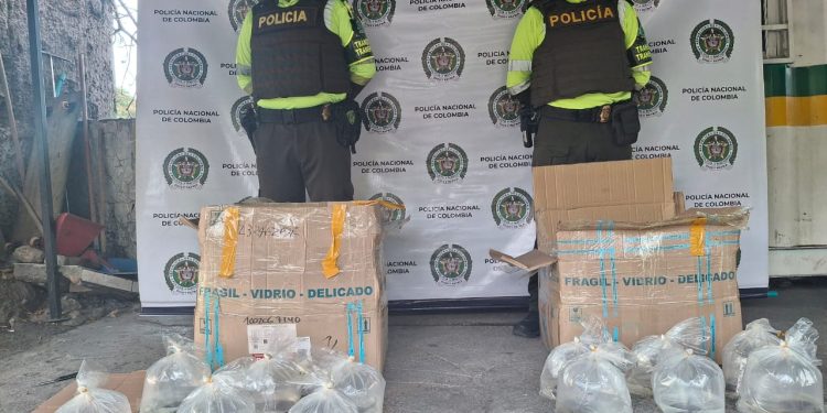 Incautan 58 especies silvestres de raya en el sector de la “Y” de Ciénaga