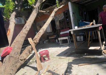 El mantenimiento del techo de tu vivienda es una inversión para garantizar la seguridad de tu familia