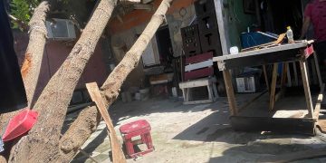 El mantenimiento del techo de tu vivienda es una inversión para garantizar la seguridad de tu familia