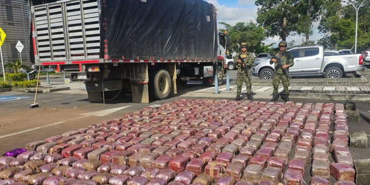 Incautan más de una tonelada de marihuana oculta en camión de papa en Cauca