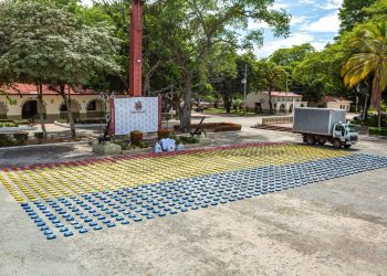Incautan cerca de dos toneladas de marihuana en el sur del país que pretendían sacar al Perú y Brasil