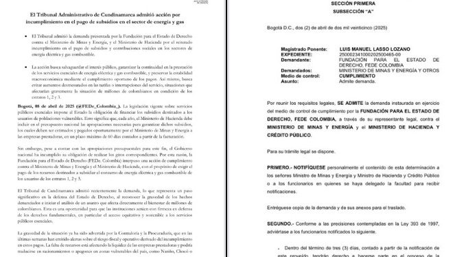 Admiten demanda contra MinHacienda y MinMinas por incumplimiento en pago de subsidios energéticos
