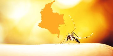 Gobierno amplía emergencia sanitaria por fiebre amarilla: durará al menos 8 semanas más