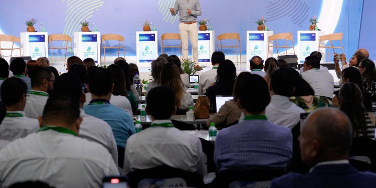 Ricardo Roa: “Primera fase de socialización de Sirius concluiría la próxima semana”