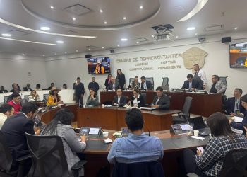 Congreso escucha informe sobre cáncer infantil: una urgencia nacional en el Día de la Niñez