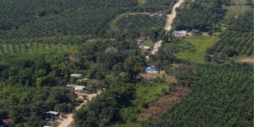 Procuraduría recomienda que proyectos de inversión en el Catatumbo por conmoción interior deben encaminarse a conjurar los hechos que la motivaron