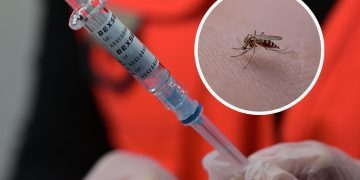 Alerta en Colombia por fiebre amarilla: estos son los municipios en alto riesgo