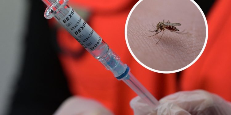 Alerta en Colombia por fiebre amarilla: estos son los municipios en alto riesgo