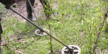 Procuraduría alerta por recontaminación con minas antipersonal en 53 municipios del país