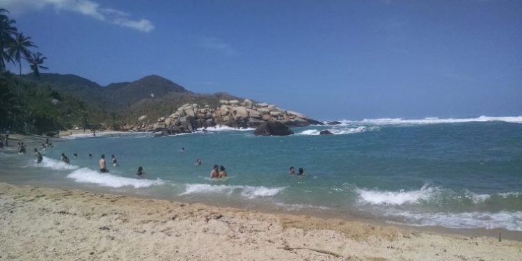 Rechazo y exigencia de justicia: Empleados de Ecohabs Bamboo Tayrona denuncian secuestro masivo