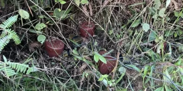 Ejército Nacional ubica y destruye 15 minas antipersonal tipo claymore en zona rural de Rioblanco, Tolima