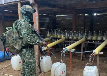 Hallados diez laboratorios empleados para procesar alcaloides en un corredor de movilidad del narcotráfico utilizado por la estructura Comandos de Frontera