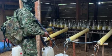 Hallados diez laboratorios empleados para procesar alcaloides en un corredor de movilidad del narcotráfico utilizado por la estructura Comandos de Frontera