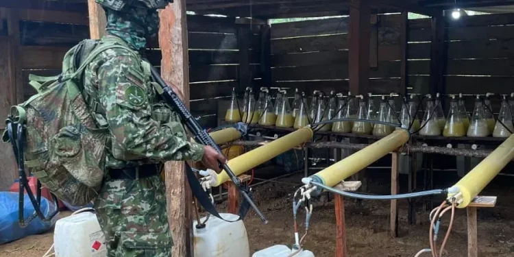 Hallados diez laboratorios empleados para procesar alcaloides en un corredor de movilidad del narcotráfico utilizado por la estructura Comandos de Frontera