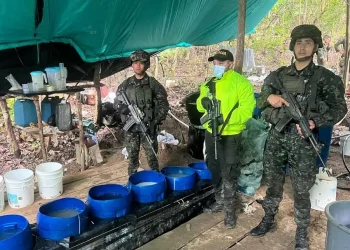 Ejército Nacional halla 280 kilogramos de clorhidrato de cocaína en Cúcuta