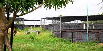 Air-e Intervenida detectó nuevos casos de hurto de energía en dos comercios de Barranquilla y una finca de Polonuevo