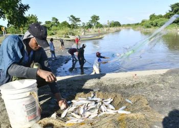 Bocachico, esperanza y lucha en El Guájaro: así es vivir del río con el ‘Plan +Pescao’