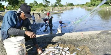 Bocachico, esperanza y lucha en El Guájaro: así es vivir del río con el ‘Plan +Pescao’
