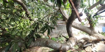 Barranquilla se prepara con medidas preventivas ante pronóstico de temporada de huracanes 2025 en el océano Atlántico