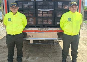 Un capturado por el delito de receptación y la recuperación de 400 kilogramos de productos cárnicos