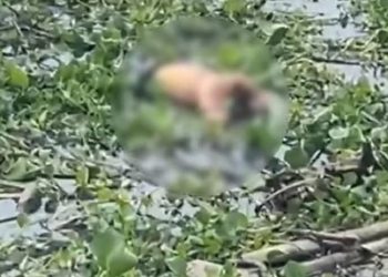 Hallan cadáver en avanzado estado de descomposición en el Malecón del Río en Barranquilla