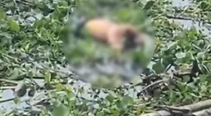 Hallan cadáver en avanzado estado de descomposición en el Malecón del Río en Barranquilla