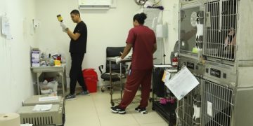Salvando vidas de cuatro patas: veterinarios del CBA, héroes que atienden con amor y vocación a los animales