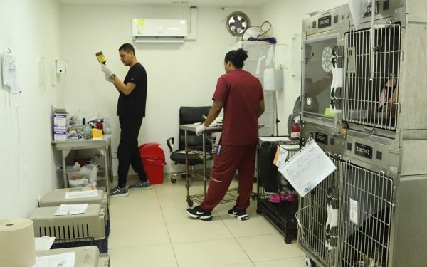 Salvando vidas de cuatro patas: veterinarios del CBA, héroes que atienden con amor y vocación a los animales