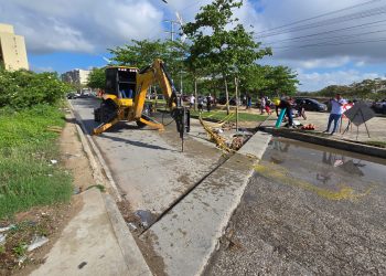 Distrito inicia intervención en accesos al puente sobre el arroyo León en Caribe Verde