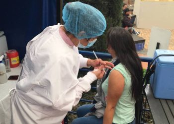 Gobierno exige carné de vacunación contra la fiebre amarilla para viajes por carretera y agua