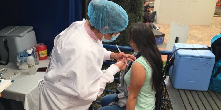 Gobierno exige carné de vacunación contra la fiebre amarilla para viajes por carretera y agua