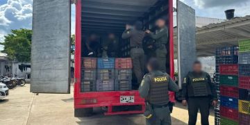 Incautan en Córdoba 260 mil dosis de cocaína ocultas en un furgón