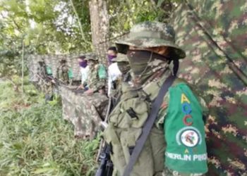 Clan del Golfo detiene ofensiva contra Fuerza Pública tras 24 asesinatos