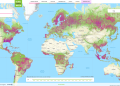 Aumenta la pérdida de bosque primario en Colombia en 2024, según Global Forest Wacth