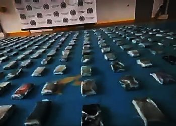 Incautan 300 kilos de cocaína en puerto de Santa Marta que iban rumbo a Alemania