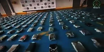 Incautan 300 kilos de cocaína en puerto de Santa Marta que iban rumbo a Alemania