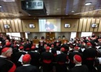 Los cardenales continúan su reflexión, perfilan la figura de un Papa pastor