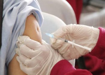 Barranquilla alcanza histórica cobertura de vacunación contra la fiebre amarilla