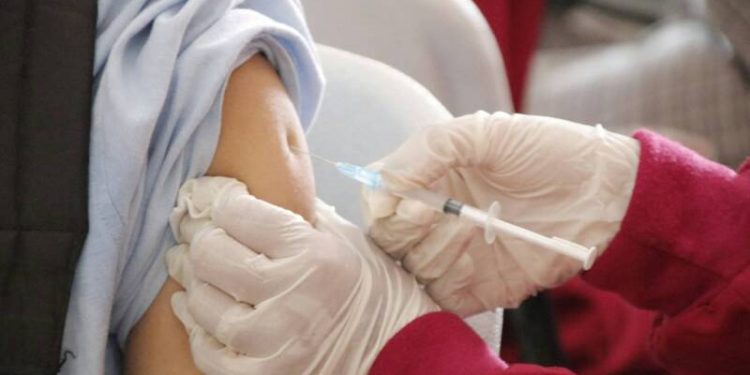 Barranquilla alcanza histórica cobertura de vacunación contra la fiebre amarilla