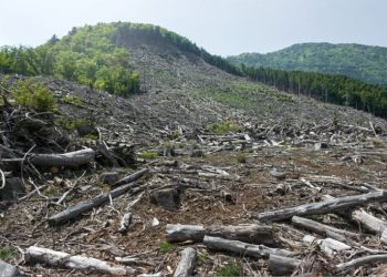 Graves riesgos ambientales llevan a la Procuraduría a solicitar sesión urgente del CONALDEF