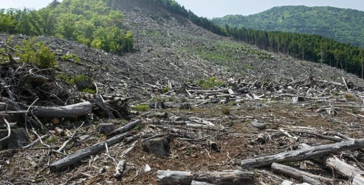 Graves riesgos ambientales llevan a la Procuraduría a solicitar sesión urgente del CONALDEF