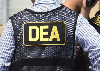 Colombia, principal fuente de cocaína que llega a EE. UU., según informe de la DEA