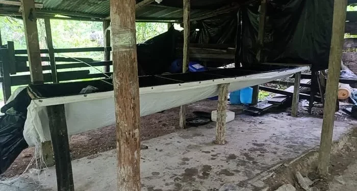 En el sur del Cesar, GAO ELN pierde ingresos de 2000 millones de pesos tras la destrucción de un laboratorio de clorhidrato de cocaína