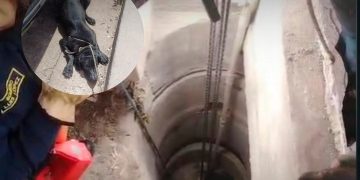 Bomberos de Valledupar rescatan a perra caída en pozo de 10 metros en taller mecánico