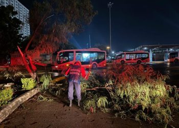 Torrencial aguacero y fuertes vientos causan emergencias en Cartagena