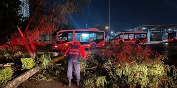 Torrencial aguacero y fuertes vientos causan emergencias en Cartagena